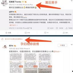 网红爆料事件网站大全视频,揭秘网络热点背后的真相  第2张